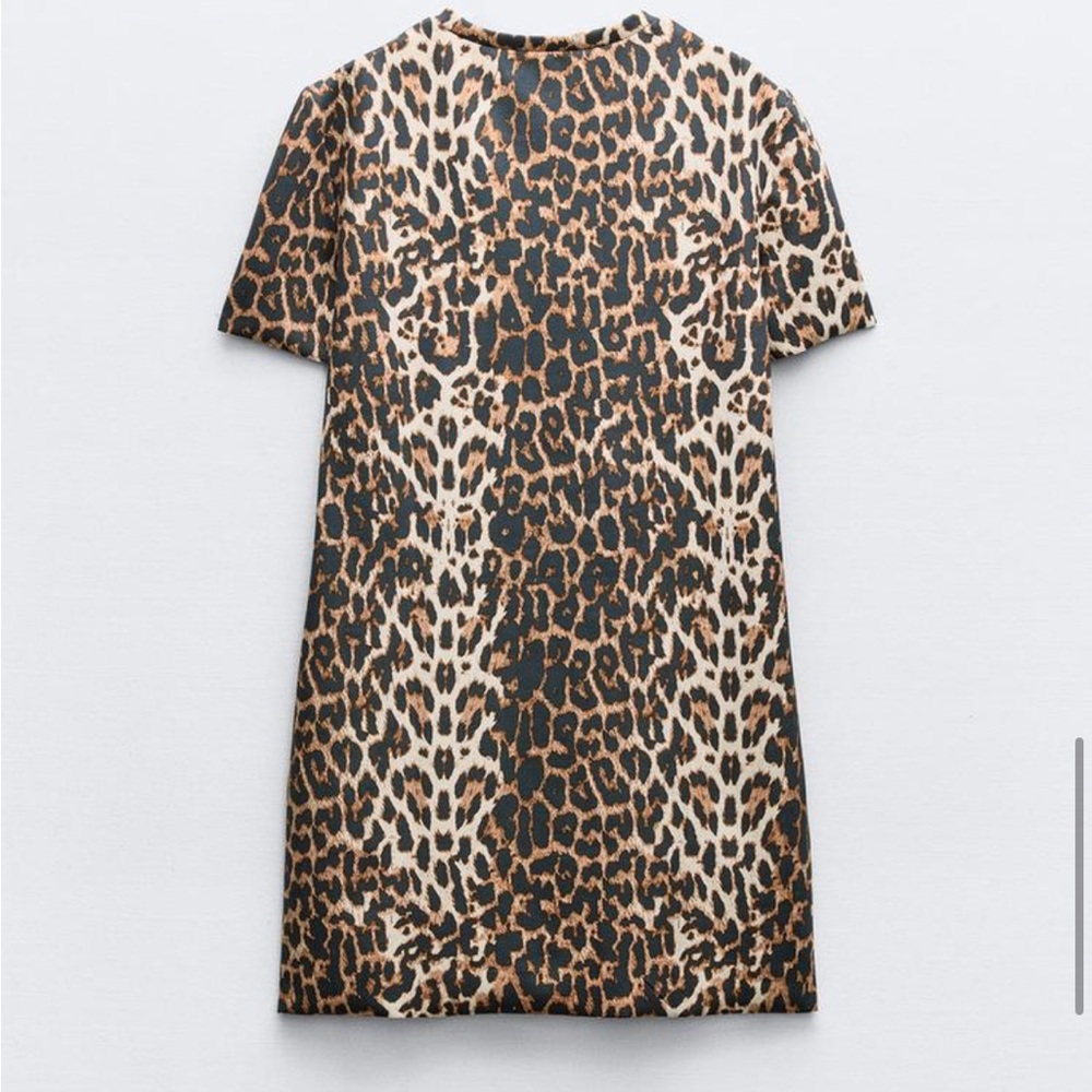 Leopard Print Short Dress - Picture 4 of 6